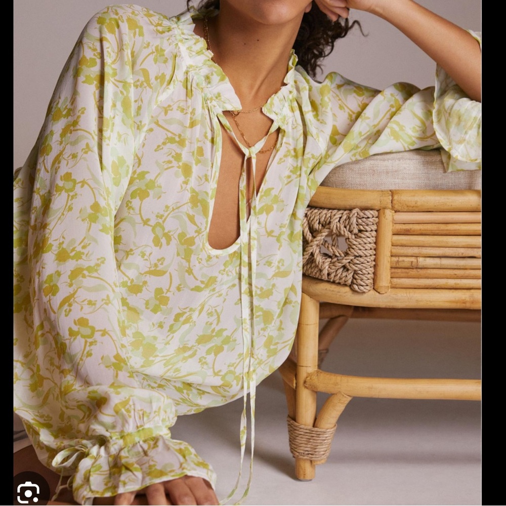 NWT Aureta Studio Sheer motif Blouse